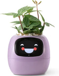 PLANTSIO Robot Vaso Intelligente per Piante da Interni con Emozioni, Decorazione Perfetta per Casa e Ufficio (Viola)