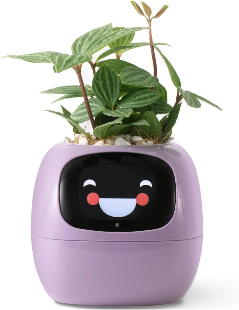 PLANTSIO Robot Vaso Intelligente per Piante da Interni con Emozioni, Decorazione Perfetta per Casa e Ufficio (Viola)