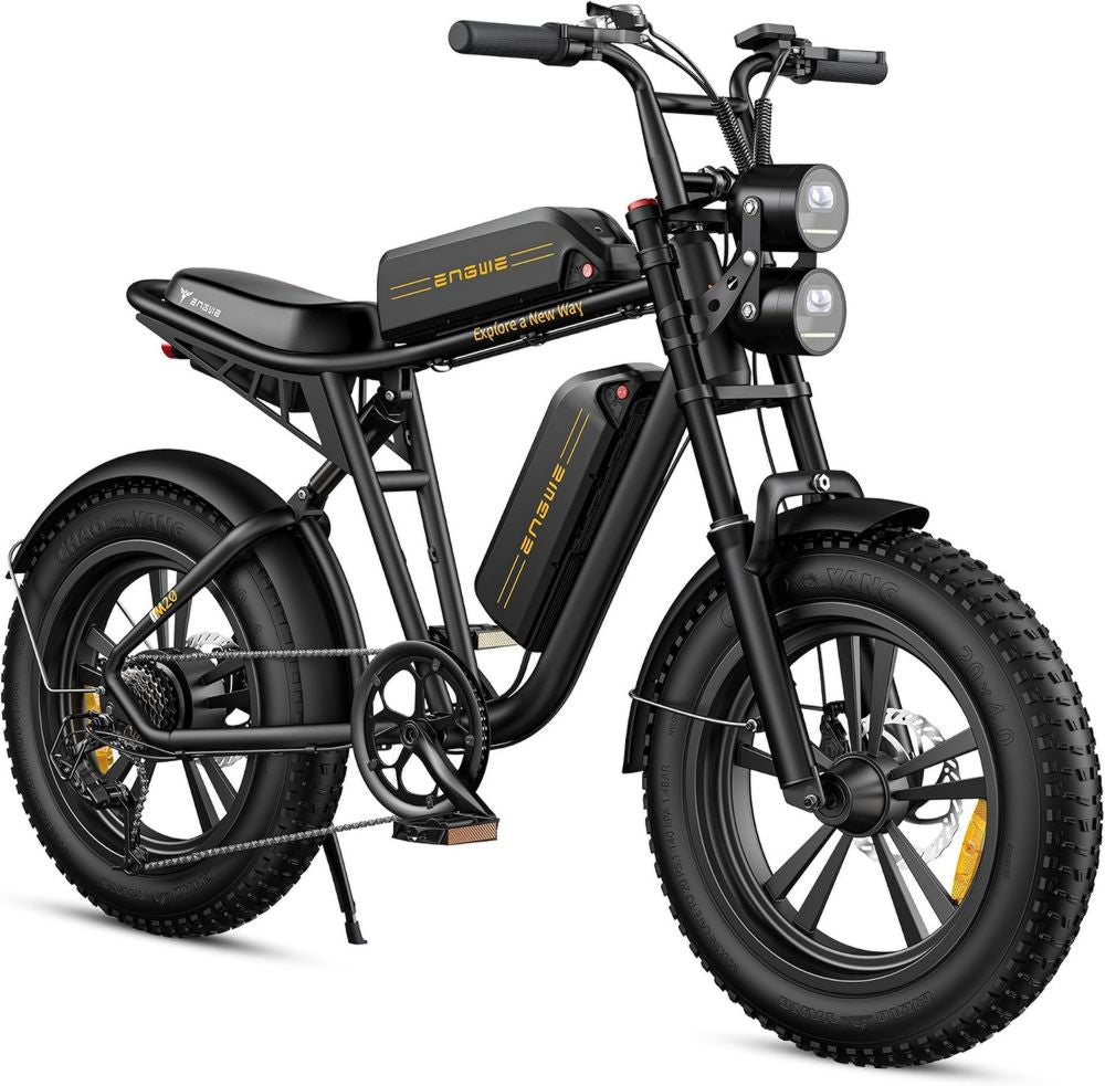 Bici Elettrica ENGWE M20 Uomo, 150KM Autonomia, Pneumatici 20x4.0, Batteria 48V, E-bike Off-road 7 Velocità