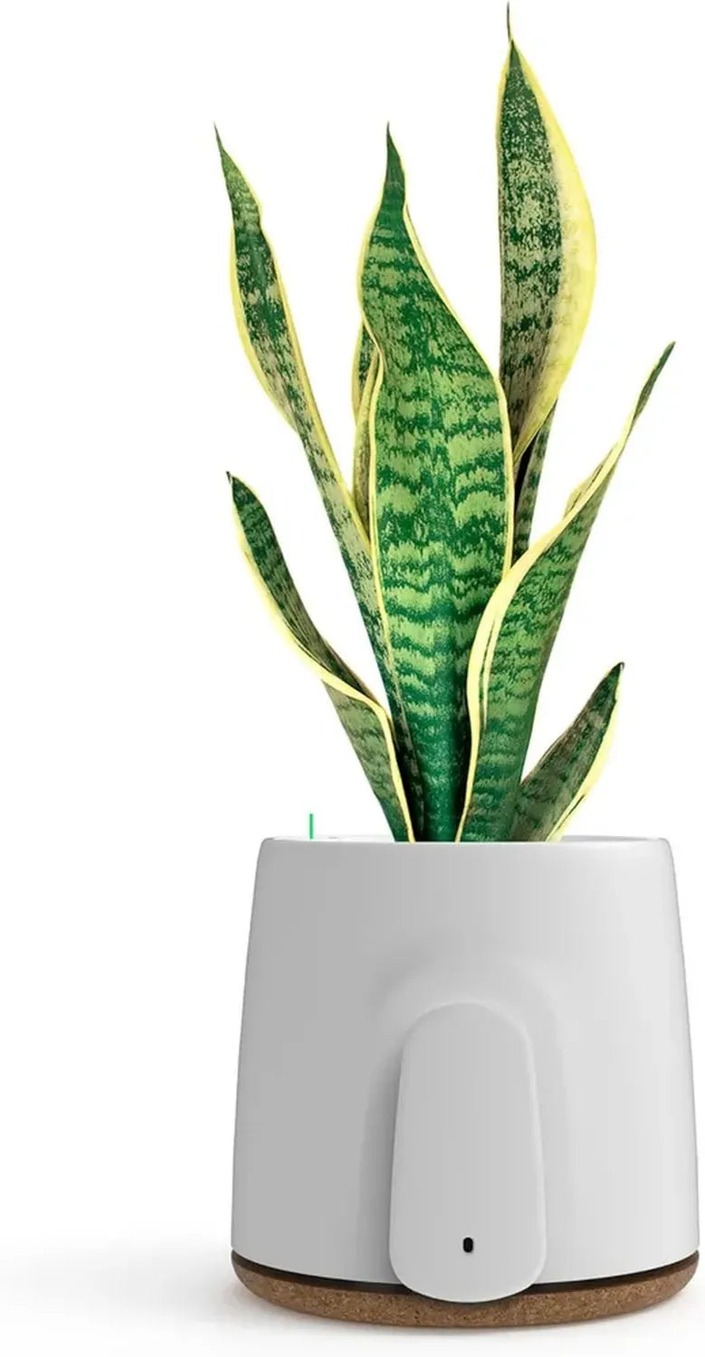 Purificatore d'Aria Filtro-Free NATEDE Basic VITESY | Elimina 99% di Agenti Nocivi | Neutralizza Odori | Eco-Sostenibile | Produzione Italiana